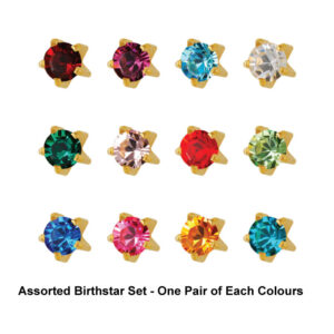 Studex Birthstar in Tiffany Settings Assorted (includes 1 pair of each month)