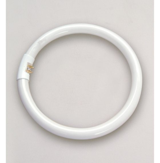 Replacement Bulb for Magnifying Lamp T4 22W