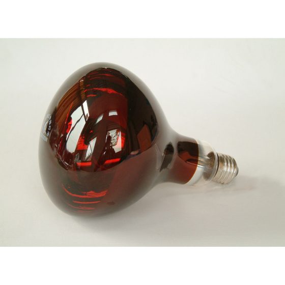 Infrared Bulb