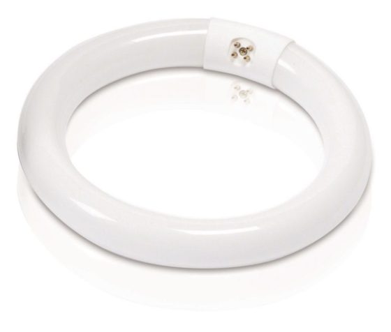 Replacement Fluorescent Bulb for Magnifying Lamp 22-Watt 8-Inch T9