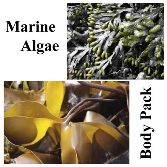 ORE Marine Algae -  Body Pack