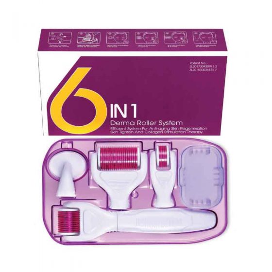 6 in 1 Derma Roller Home Maintenance System