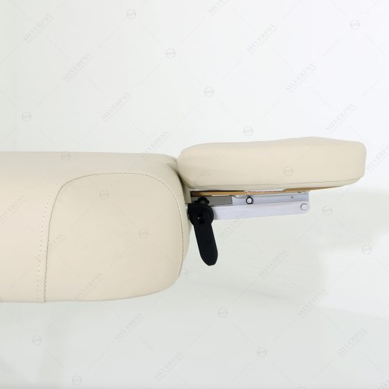 FE-2274A Electric Massage Table with Power Tilt Back