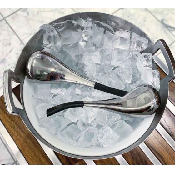 Stainless Steel Facial Ice Globes Spoons