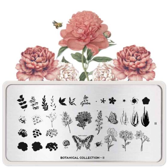 MOYOU Botanical Stamping Nail Art Plate Collection