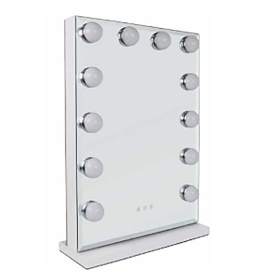 The Beauty Mirror with Dimmable LED Light - Large 16 in x 23 in