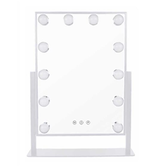 The Beauty Mirror with Dimmable LED Light - Medium 13.75in x 17.75 in