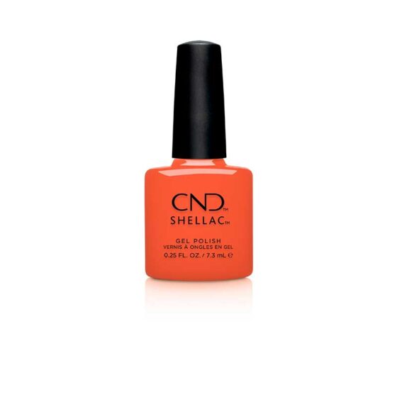 CND Shellac -   IG-NIGHT-ED