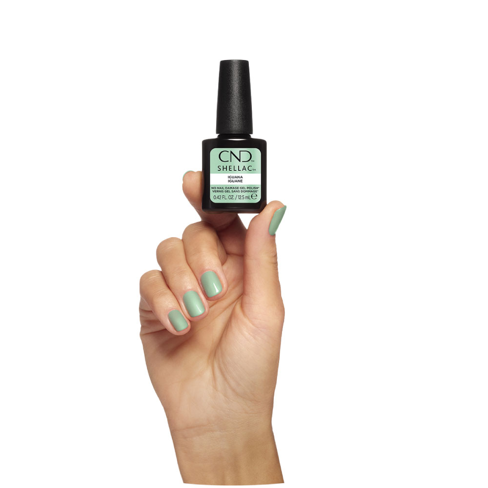 CND SHELLAC - Iguana